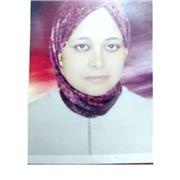 Cours d'arabe tout niveau, collège, lycée , université et adultes